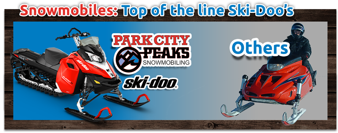 Top of line snowmobiles