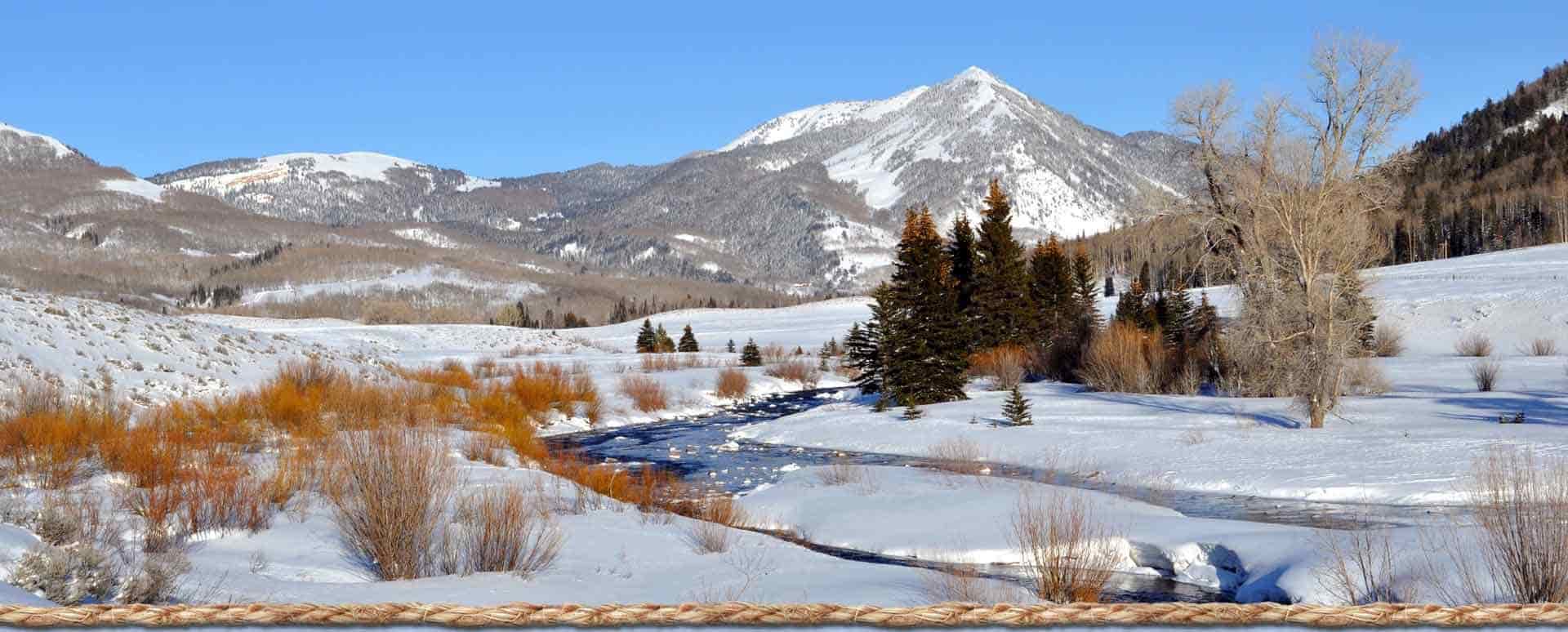 snowy landscape